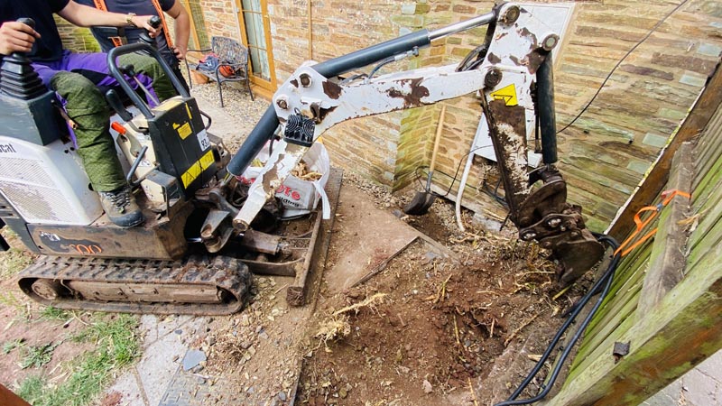 Bamboo Removal Mid Devon