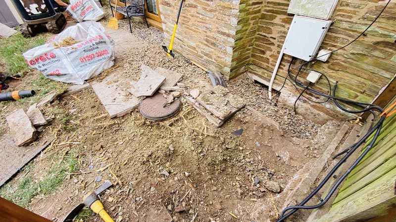 Bamboo Removal Mid Devon