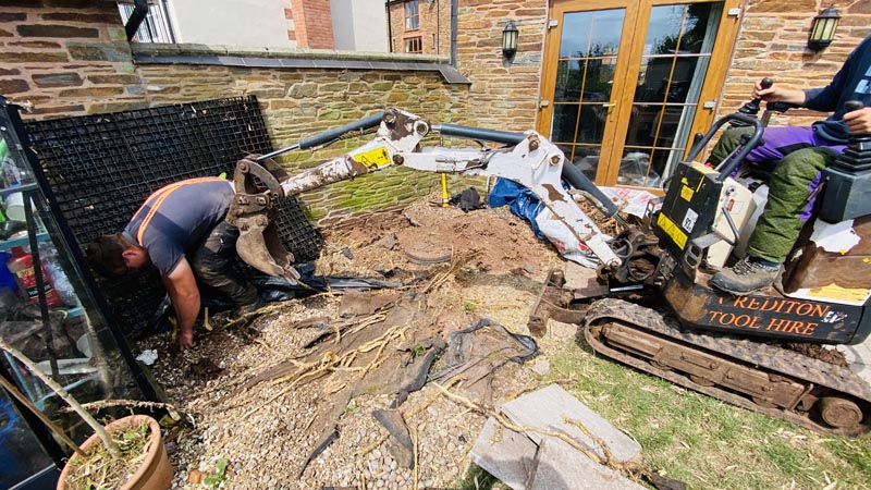 Bamboo Removal Mid Devon