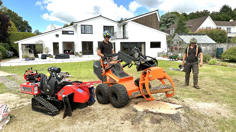 East Devon Tree Surgeons