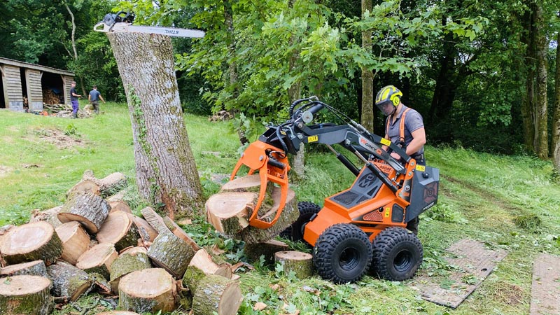 East Devon Tree Surgeons East Devon Tree Surgeons