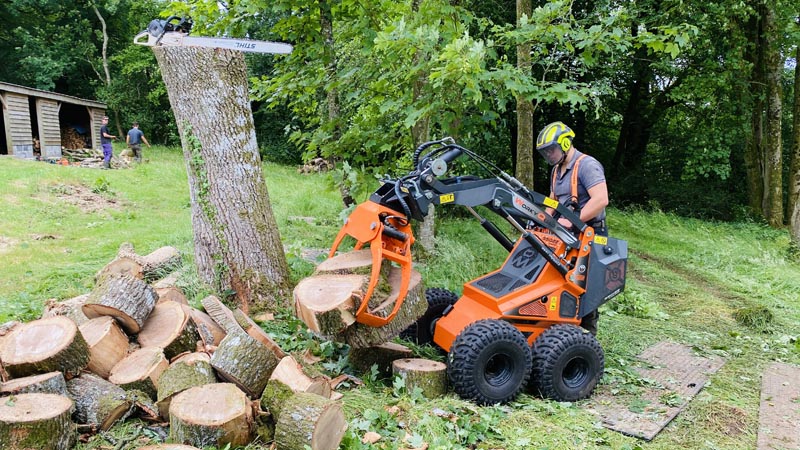 East Devon Tree Surgeons