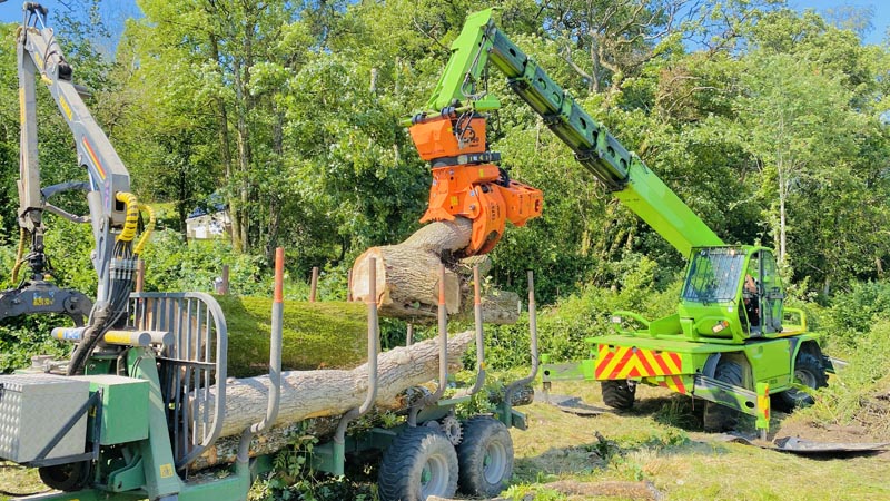 East Devon Tree Surgeons