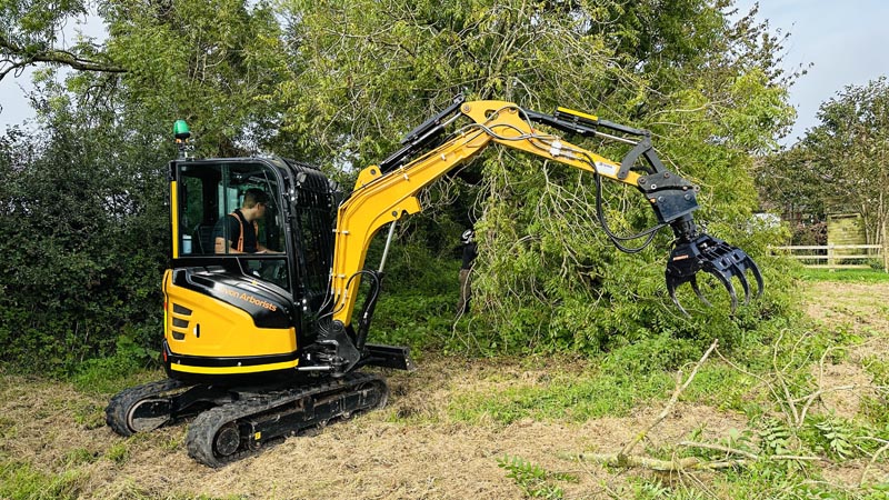 Tree Removal East Devon