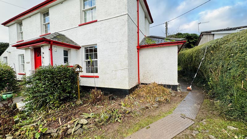 Bamboo Removal Teign Valley