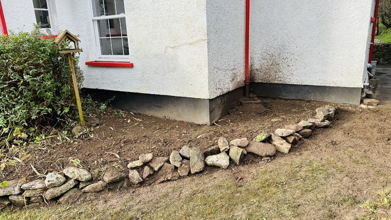 Bamboo Removal Teign Valley