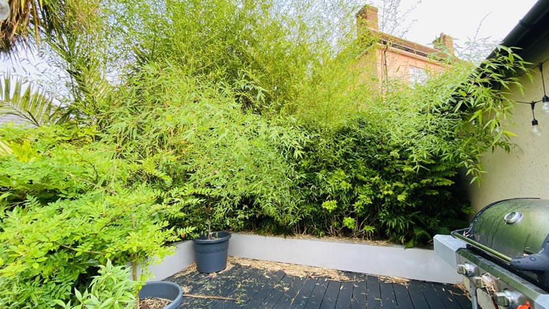 Selling A House With Bamboo UK 