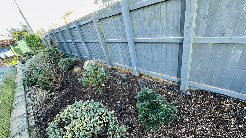 Bamboo Removal Exmouth Bamboo Removal Exmouth