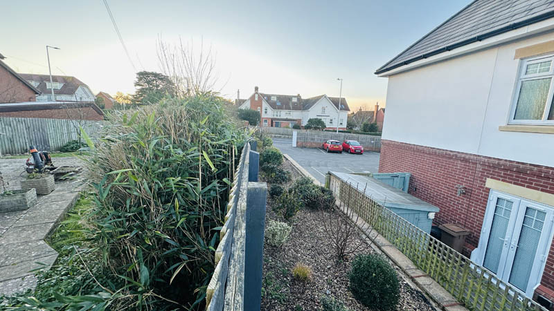 Bamboo Removal Exmouth Bamboo Removal Exmouth
