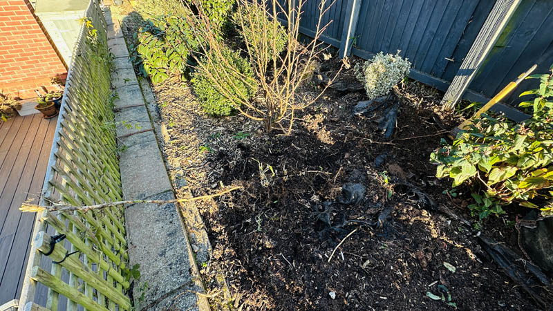 Bamboo Removal Exmouth Bamboo Removal Exmouth