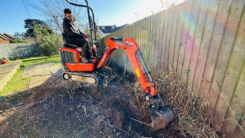 Bamboo Removal Exmouth Bamboo Removal Exmouth