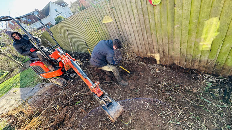 Bamboo Removal Exmouth Bamboo Removal Exmouth
