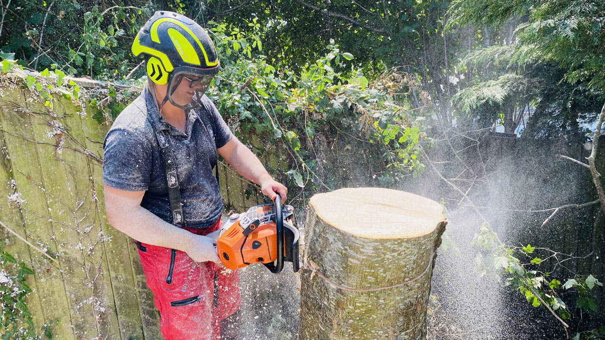 Tree Surgeon East Devon