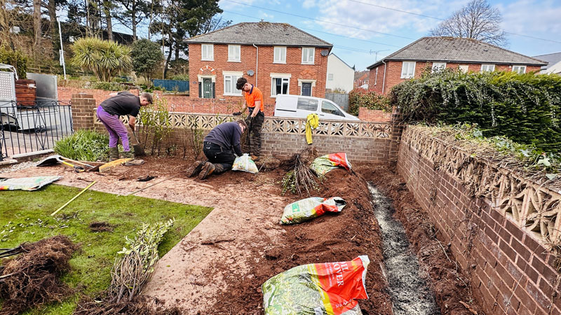 Hedge Planting Hedge Planting