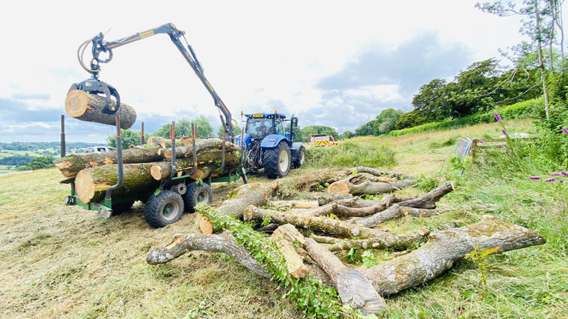Mechanised Tree Removal Mechanised Tree Removal