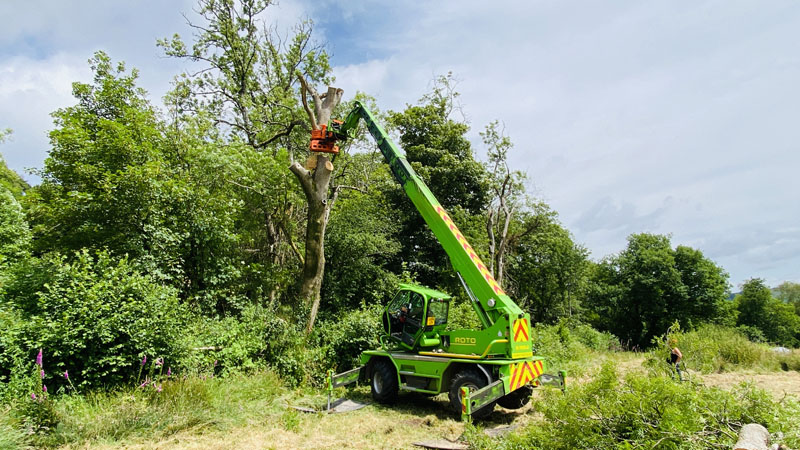 Mechanised Tree Removal Mechanised Tree Removal