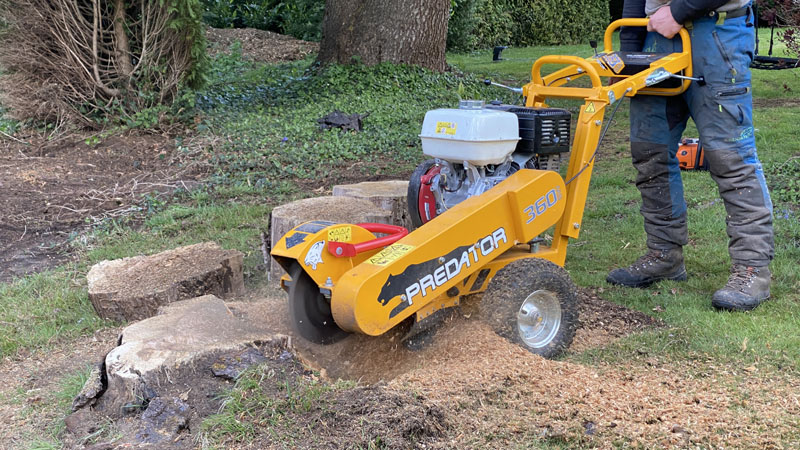Stump Grinding Stump Grinding