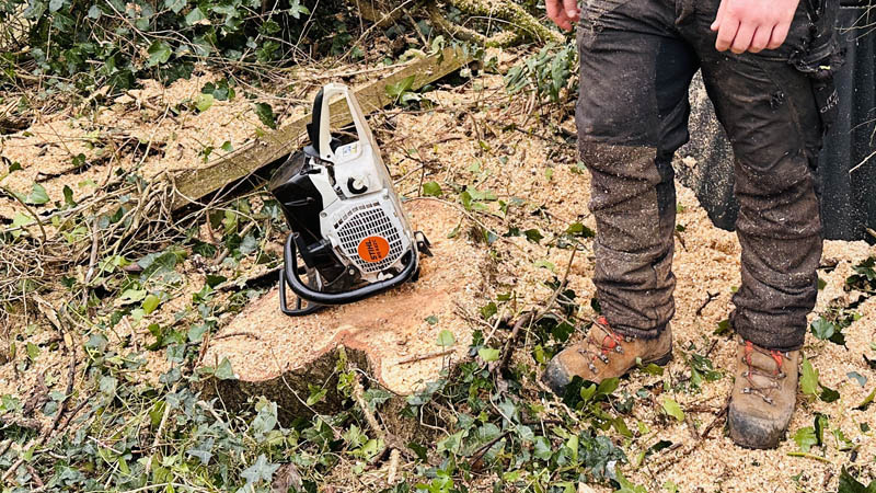 Quantified Tree Risk Assessment East Devon, West Dorset