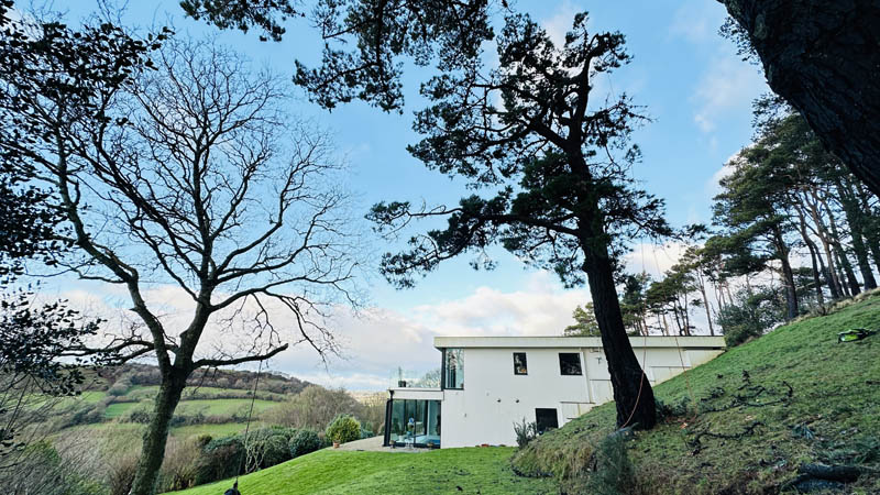 Tree surveys for insurance and mortgages